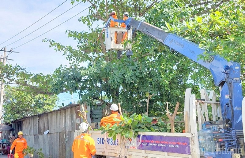 Ngành điện TP. Hồ Chí Minh: Cảnh báo mất an toàn điện do người dân đốt rác