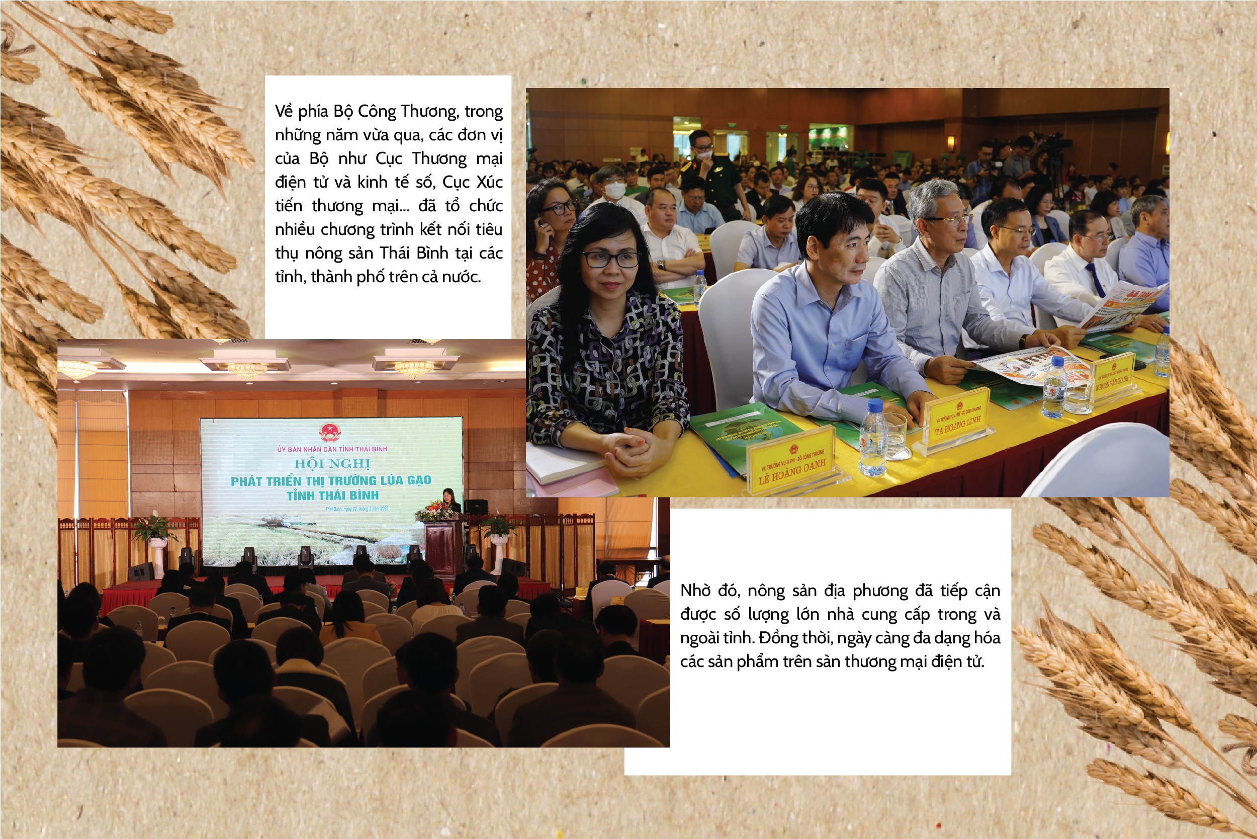 Longform | Đa dạng giải pháp xúc tiến thương mại cho nông sản Thái Bình