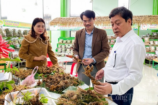 Bài 2: “Thủ phủ” sâm Ngọc Linh - Nan giải quá trình xây dựng và bảo vệ thương hiệu