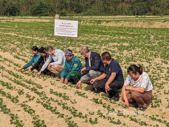 Nâng cao quyền năng kinh tế giúp phụ nữ dân tộc thiểu số có được tiếng nói