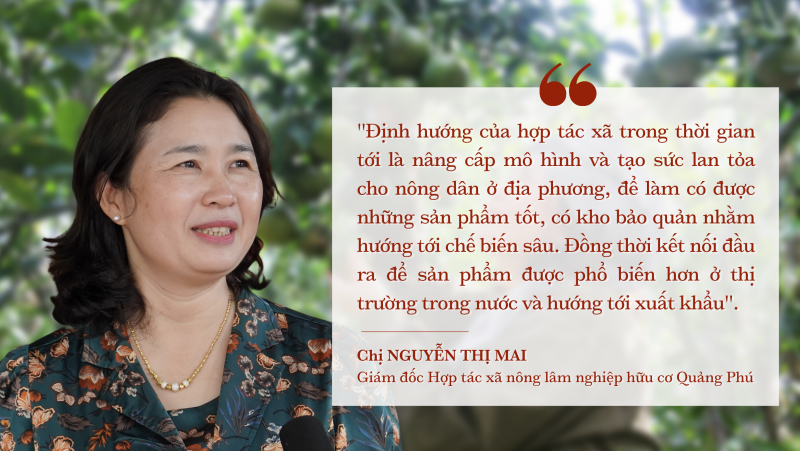 Longform|Đắk Nông: Nữ giám đốc với thành quả ngọt ngào trên đá núi lửa