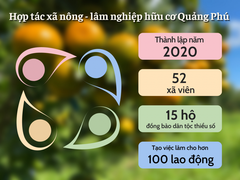 Longform|Đắk Nông: Nữ giám đốc với thành quả ngọt ngào trên đá núi lửa