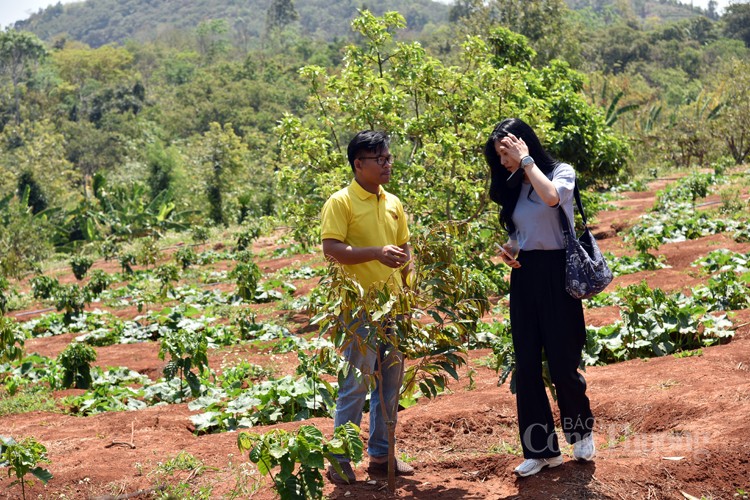 Y Pốt Niê, chàng trai Tây Nguyên nâng tầm cho hạt cà phê