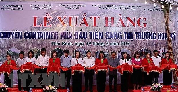 Đoàn đại biểu các đơn vị cắt băng xuất khẩu lô hàng mía tươi đầu tiên sang thị trường Hoa Kỳ.