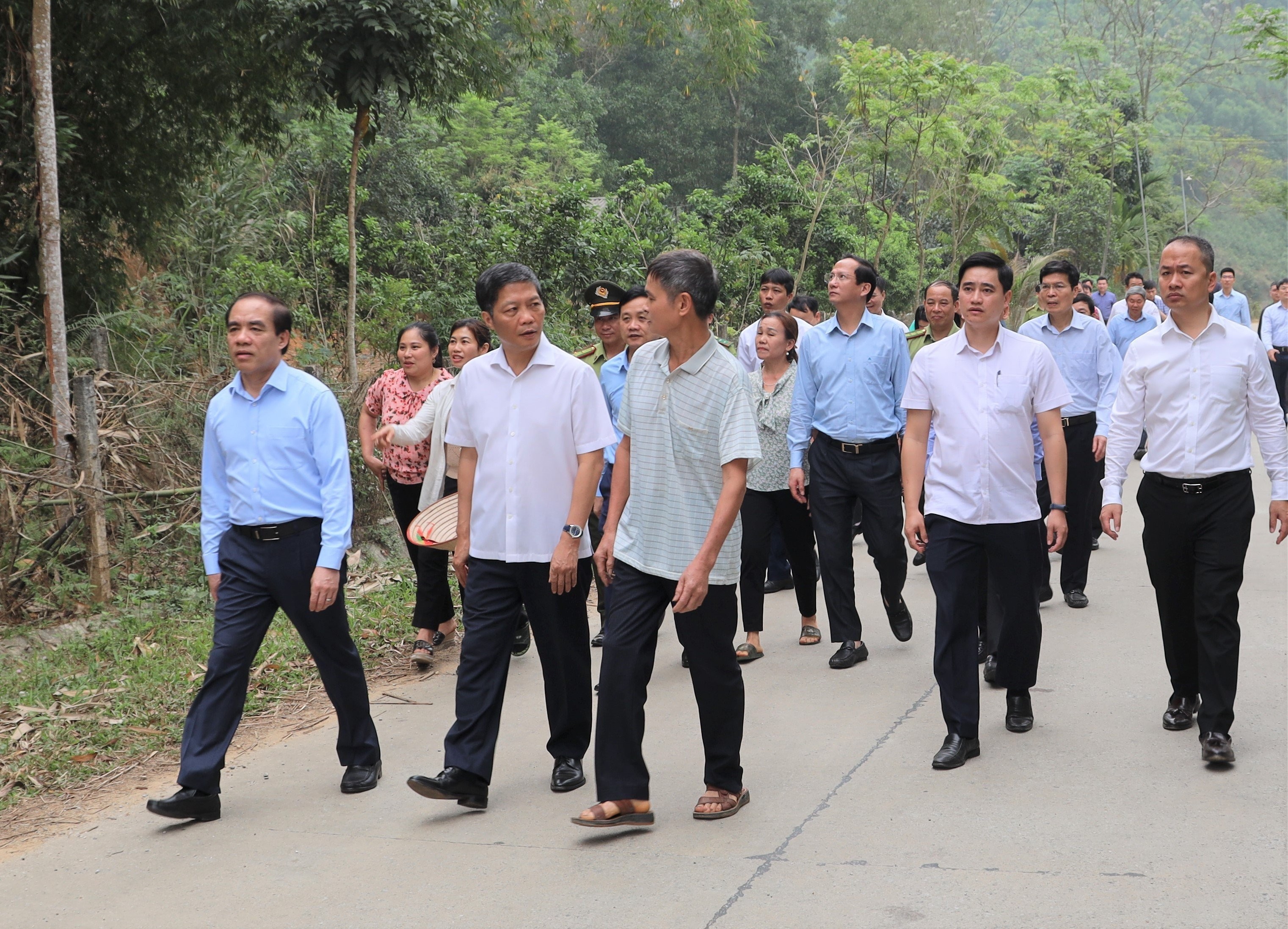 Xây dựng Tuyên Quang trở thành trung tâm sản xuất chế biến gỗ của vùng Trung du và miền núi Bắc Bộ