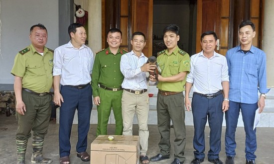 vooc cha va chan nau di lac vao vuon nha dan o ha tinh