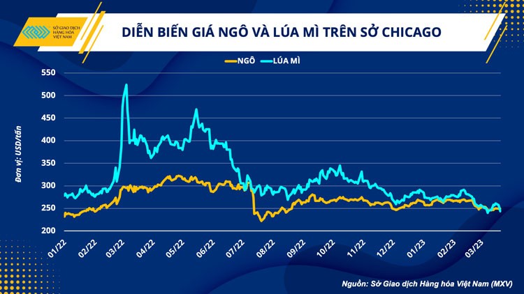 Ngành chăn nuôi và triển vọng khởi sắc sau 3 năm dịch bệnh