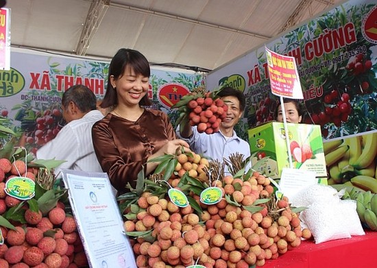 thanh ha len phuong an xuc tien tieu thu vai thieu som