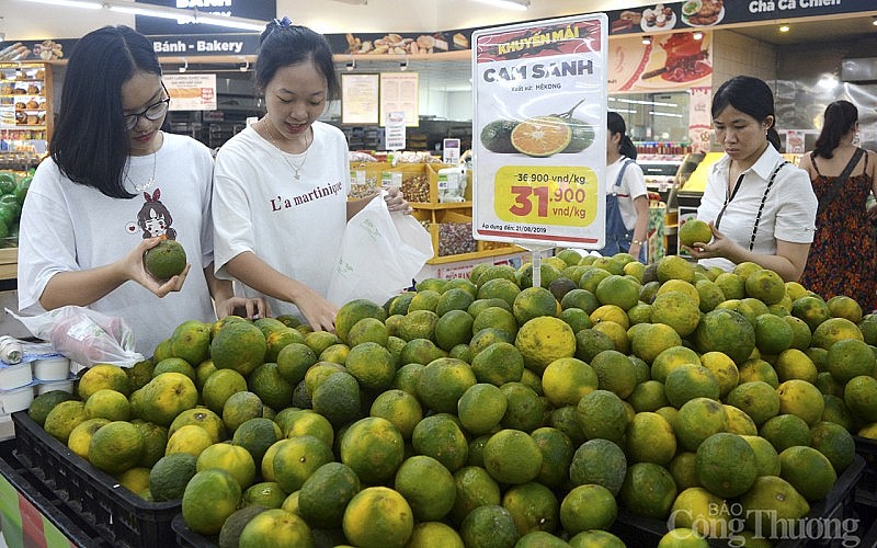 Nghệ An: Chỉ số giá tiêu dùng tháng 3/2023 giảm 0,36%