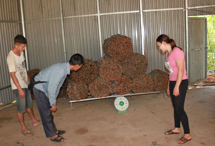 Phụ nữ dân tộc Mông, Dao thi đua làm giàu, xây dựng nông thôn mới vùng cao Bản Cái khởi sắc