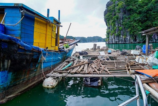 TP. Hải Phòng: Chủ tịch UBND huyện Cát Hải bị phê bình