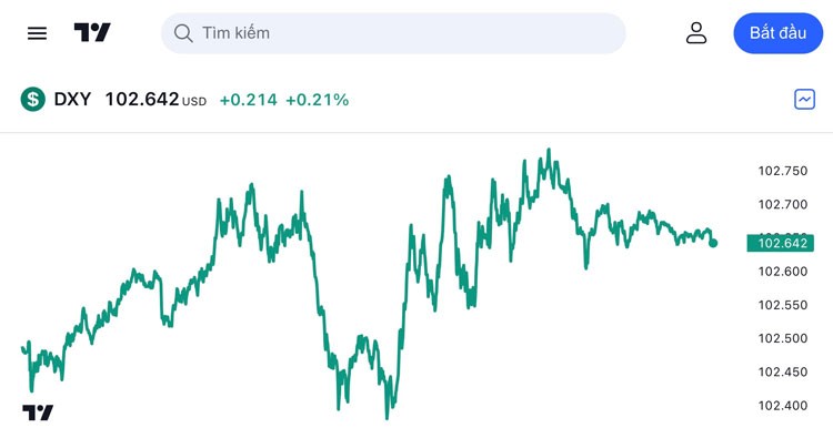 Tỷ giá USD hôm nay 30/3: Đồng USD tăng trở lại khi nỗi sợ ngân hàng giảm dần