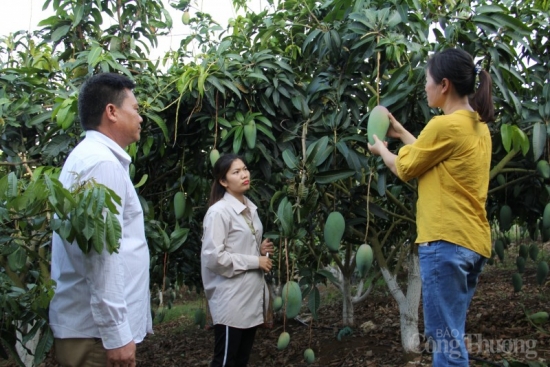 Vùng Đồng bằng sông Hồng: Triển khai quyết liệt, đồng bộ công tác giảm nghèo bền vững