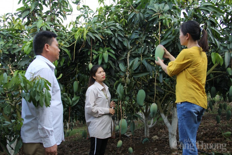 nhiều mô hình mới, cách làm hay giúp người dân xóa đói giảm nghèo