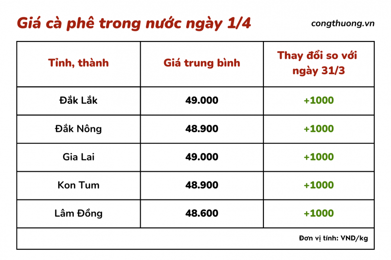 Giá cà phê hôm nay 1/4: Giá cà phê trong nước tăng mạnh, cán mốc 49.000 đồng/kg