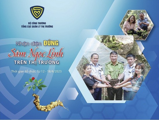 sap dien ra tuan le nhan dien dung sam ngoc linh tren thi truong tu ngay 12184