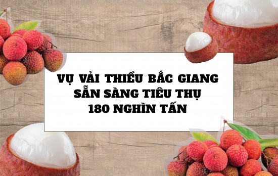 longform vu vai thieu bac giang nam 2023 san sang tieu thu 180 nghin tan