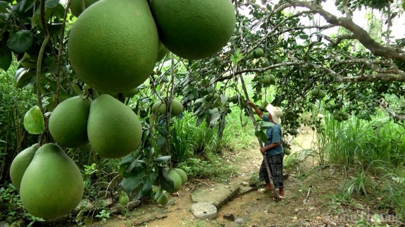 Năm 2023, Quảng Nam đặt mục tiêu tỷ lệ hộ nghèo trong đồng bào DTTS giảm trên 3%