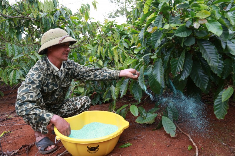 Phân bón Đầu Trâu - Tăng cường nhận thức về môi trường, khuyến khích hành động để bảo vệ hành tinh xanh