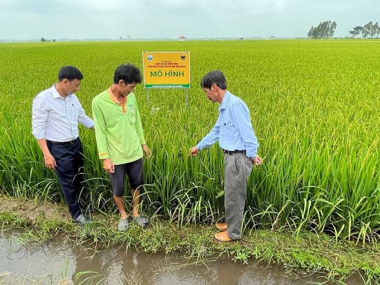 Phân bón Đầu Trâu - Tăng cường nhận thức về môi trường, khuyến khích hành động để bảo vệ hành tinh xanh