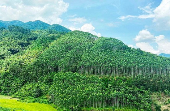 phat trien thi truong carbon co hoi nao cho viet nam