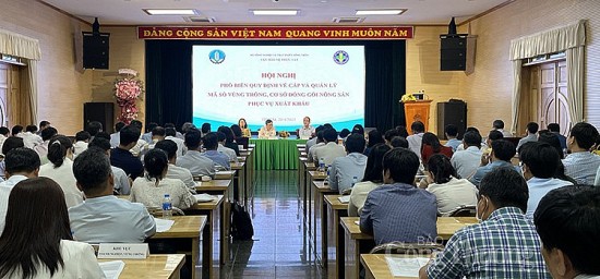 vi pham ma so vung trong nguy co dung xuat khau toan nganh hang