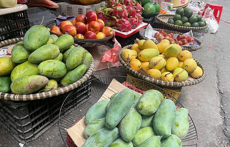 Nguồn cung hoa quả đầu mùa Hè đang khá dồi dào. (Ảnh: Minh Hiếu/Vietnam+)