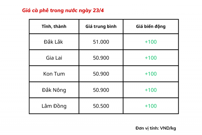 Giá cà phê trong nước hôm nay dao động từ 50.500 – 51.000 đồng/kg.