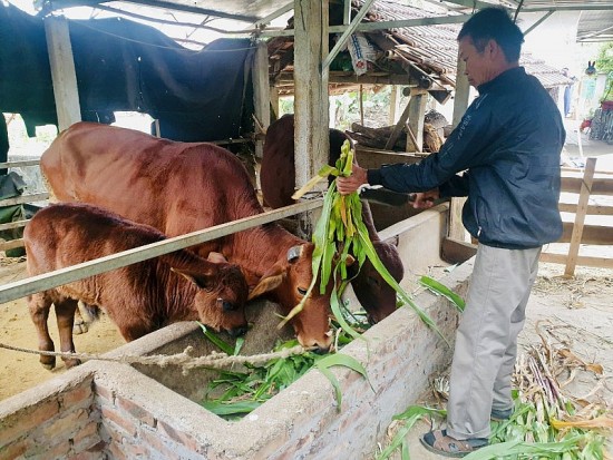 ha noi tiep tuc danh nguon luc cho cong tac giam ngheo ben vung