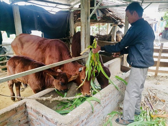 Hà Nội tiếp tục dành nguồn lực cho công tác giảm nghèo bền vững