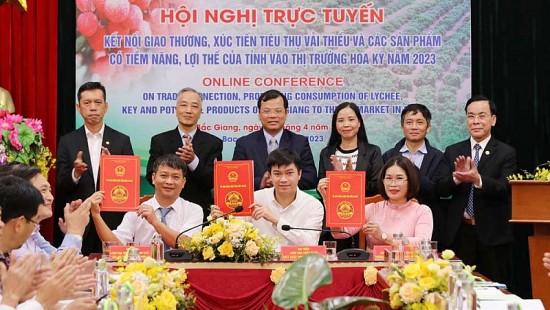 Bàn giải pháp xuất khẩu vải thiều Bắc Giang sang thị trường Hoa Kỳ