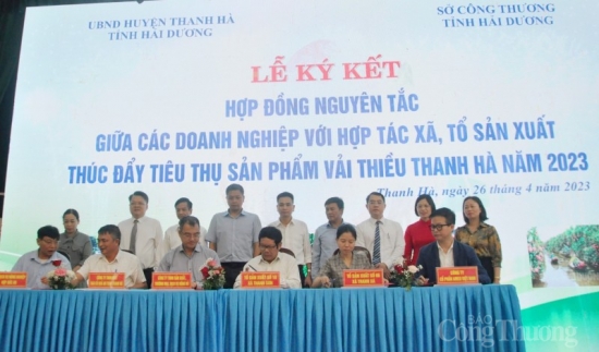 hai duong xuc tien thuong mai tieu thu vai thieu thanh ha