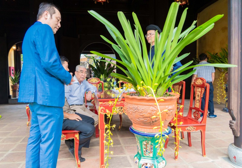 Thừa Thiên Huế: Gần 1.000 tác phẩm “Kỳ hoa dị thảo” ba miền hội tụ Thừa Thiên Huế: Ngắm gần 1.000 tác phẩm “Kỳ hoa dị thảo” ba miền hội tụ