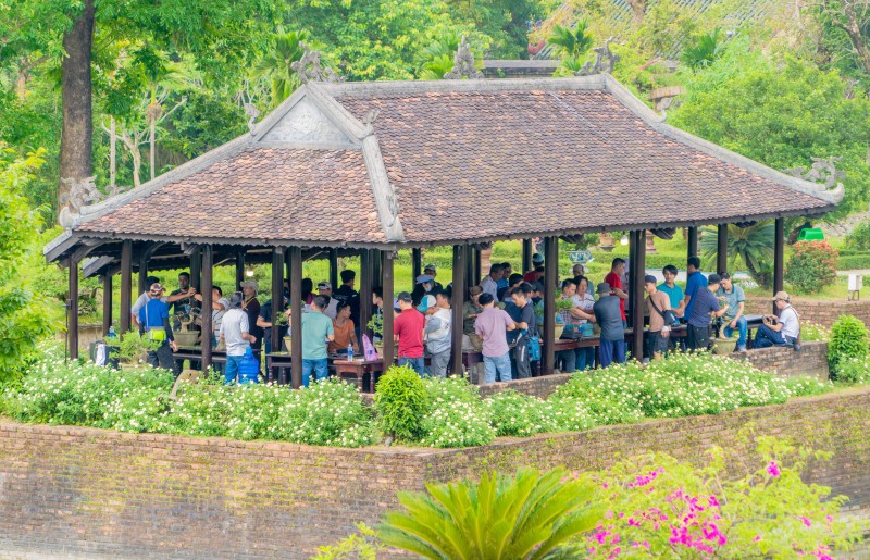 Thừa Thiên Huế: Gần 1.000 tác phẩm “Kỳ hoa dị thảo” ba miền hội tụ Thừa Thiên Huế: Ngắm gần 1.000 tác phẩm “Kỳ hoa dị thảo” ba miền hội tụ