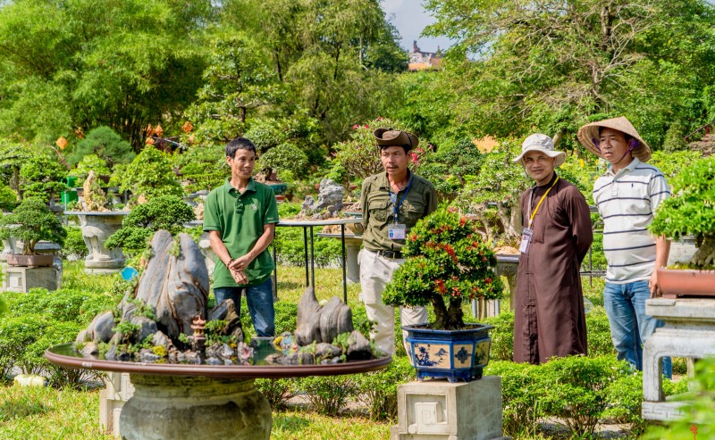 Thừa Thiên Huế: Ngắm gần 1.000 tác phẩm “Kỳ hoa dị thảo” ba miền hội tụ