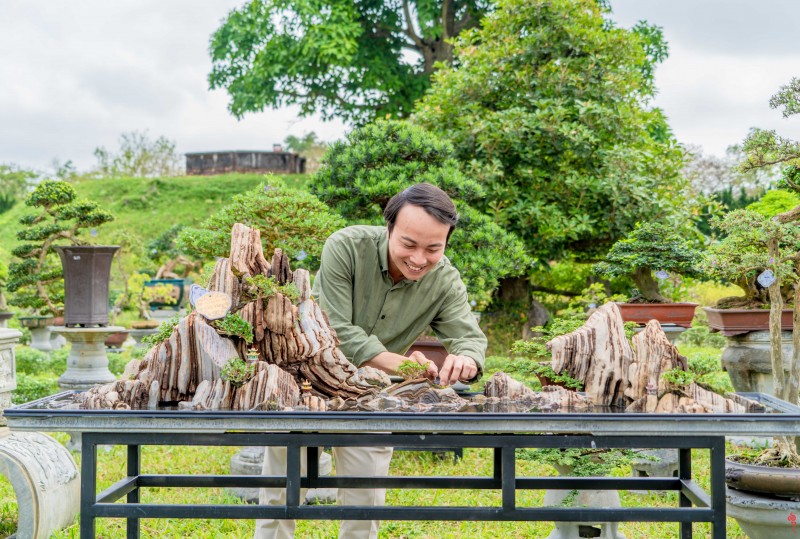 Thừa Thiên Huế: Gần 1.000 tác phẩm “Kỳ hoa dị thảo” ba miền hội tụ Thừa Thiên Huế: Ngắm gần 1.000 tác phẩm “Kỳ hoa dị thảo” ba miền hội tụ