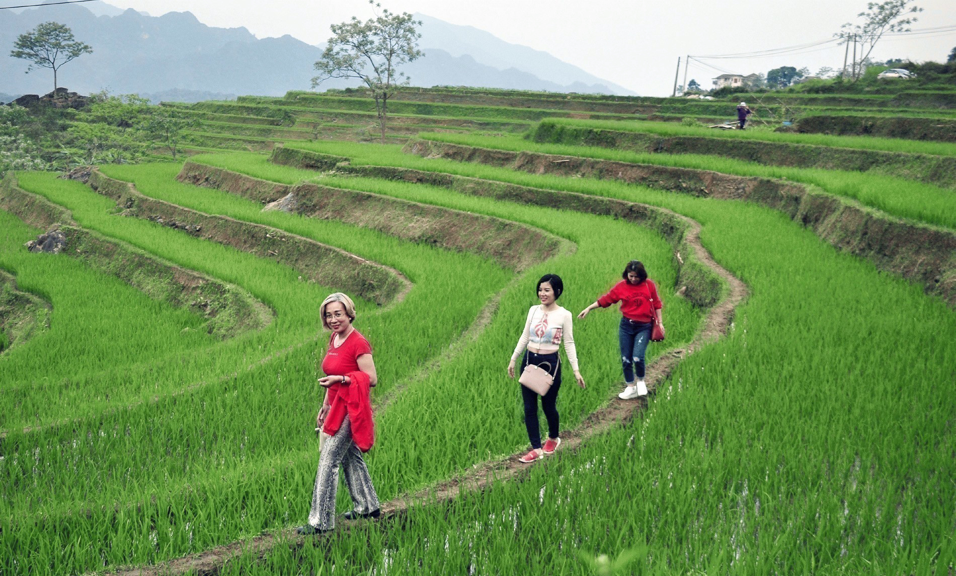 Kh&amp;aacute;ch du lịch tham quan P&amp;uacute; Lu&amp;ocirc;ng (Thanh H&amp;oacute;a). Ảnh: Ho&amp;agrave;i Nam