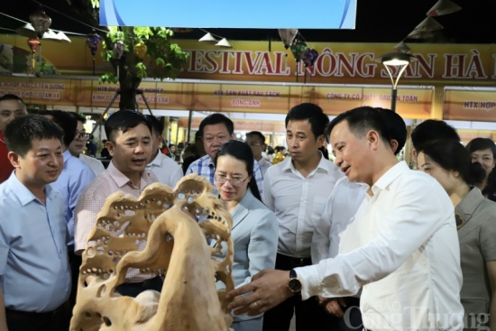 Khai mạc Festival Nông sản Hà Nội lần thứ 2 tại Đông Anh