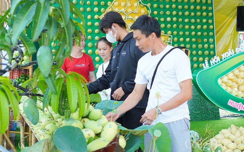 Lễ hội Xoài Đồng Tháp - nâng tầm vị thế