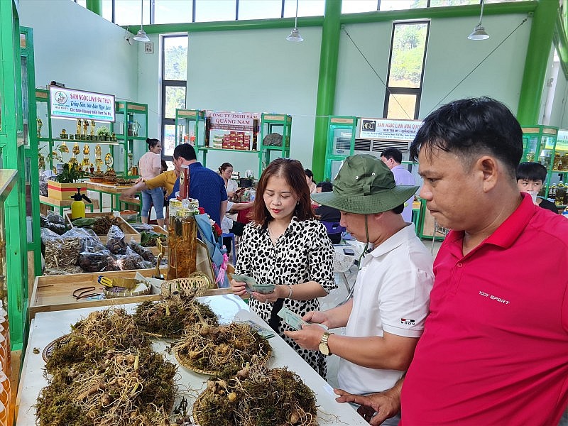 Ngày 1/5, tổ chức Phiên chợ Sâm Ngọc Linh