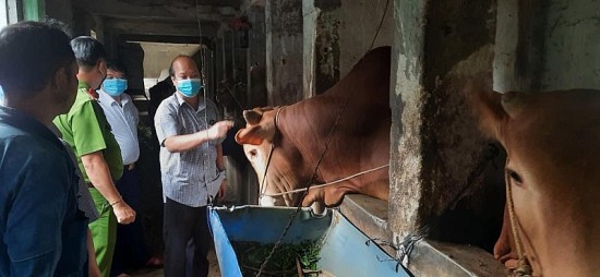doi thay tich cuc tren vung cao nguyen da ha giang