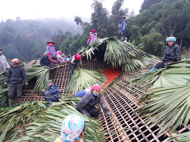 Khởi nghiệp từ phát triển cây chè Shan tuyết hữu cơ gắn với du lịch cộng đồng homestay