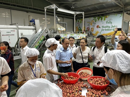 tieu thu vai thieu va nong san chu luc bai hoc gi tu huyen luc ngan