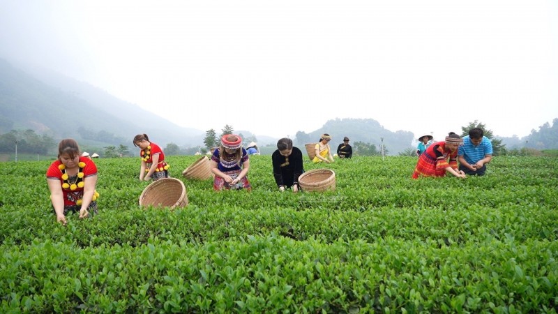 Thái Nguyên: Phát triển du lịch cộng đồng vùng đồng bào dân tộc