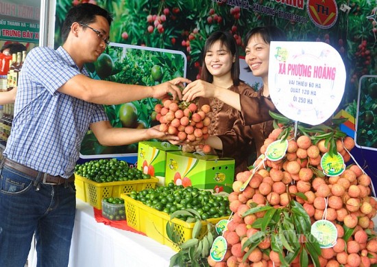 bai 3 xuc tien thuong mai bac nhip cau tieu thu