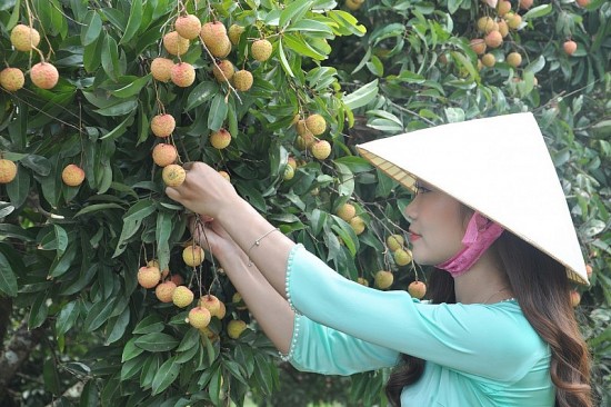 bai 2 mo rong thi truong day manh xuat khau
