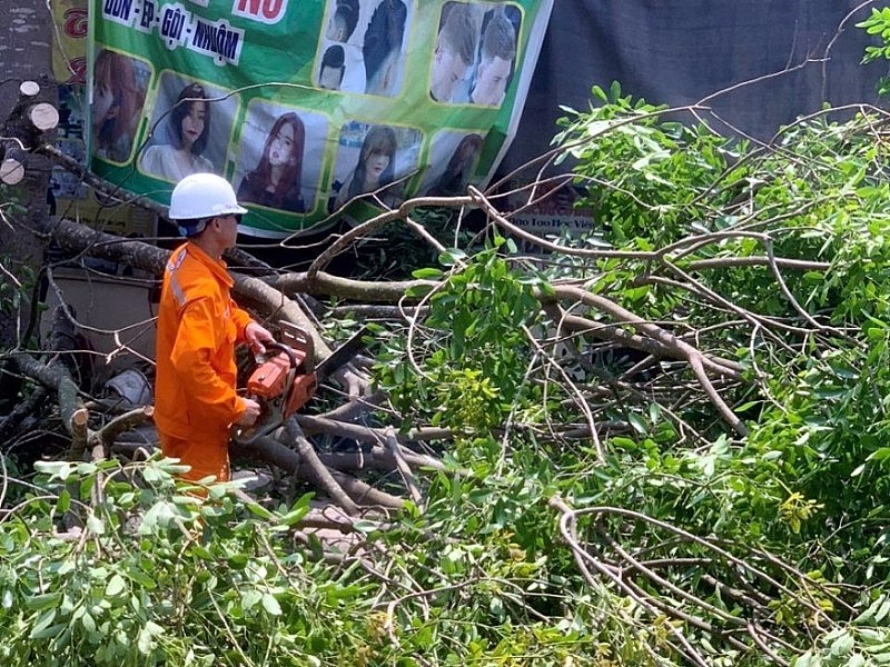 Thanh Hóa: Triển khai nhiều giải pháp cấp điện phục vụ sinh hoạt, sản xuất mùa hè nắng nóng