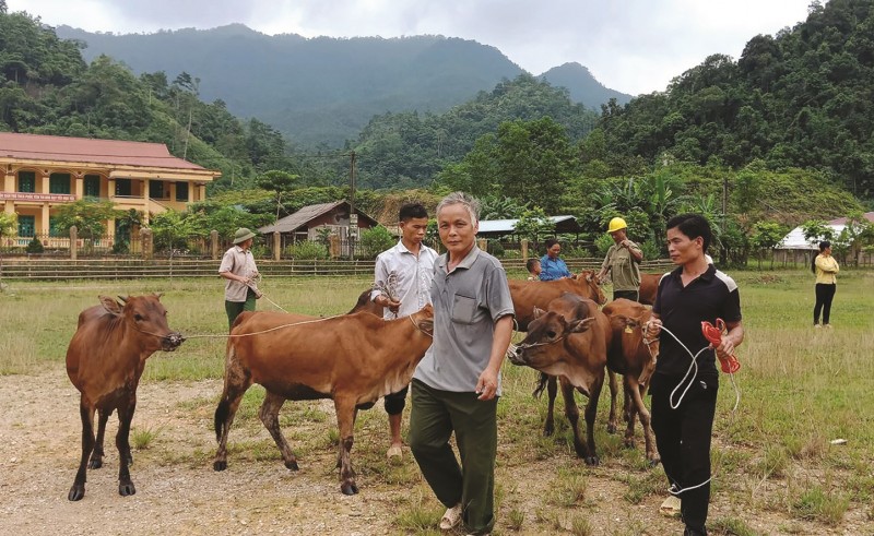 Tuyên Quang: Huy động mọi nguồn lực trong xã hội để giảm nghèo bền vững