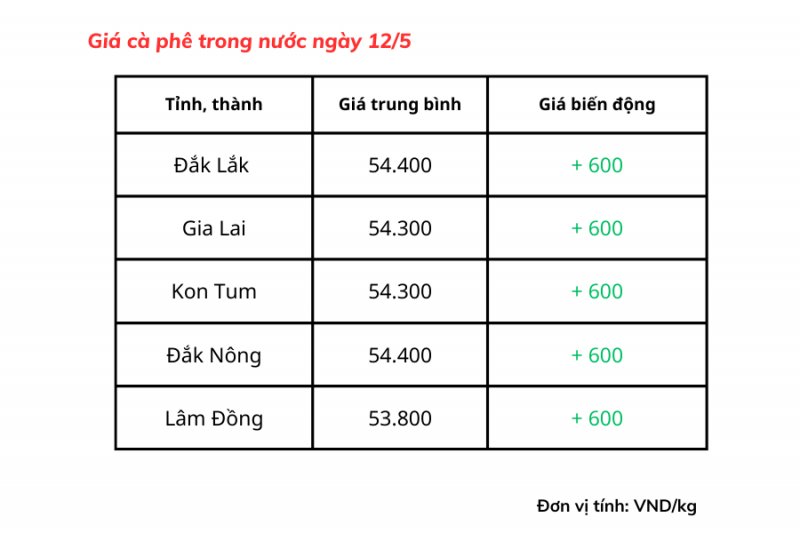 Giá cà phê trong nước hôm nay 12/5 tăng mạnh so với hôm qua, tăng 600 đồng/kg, hiện dao động từ 53.800 – 54.400 đồng/kg.