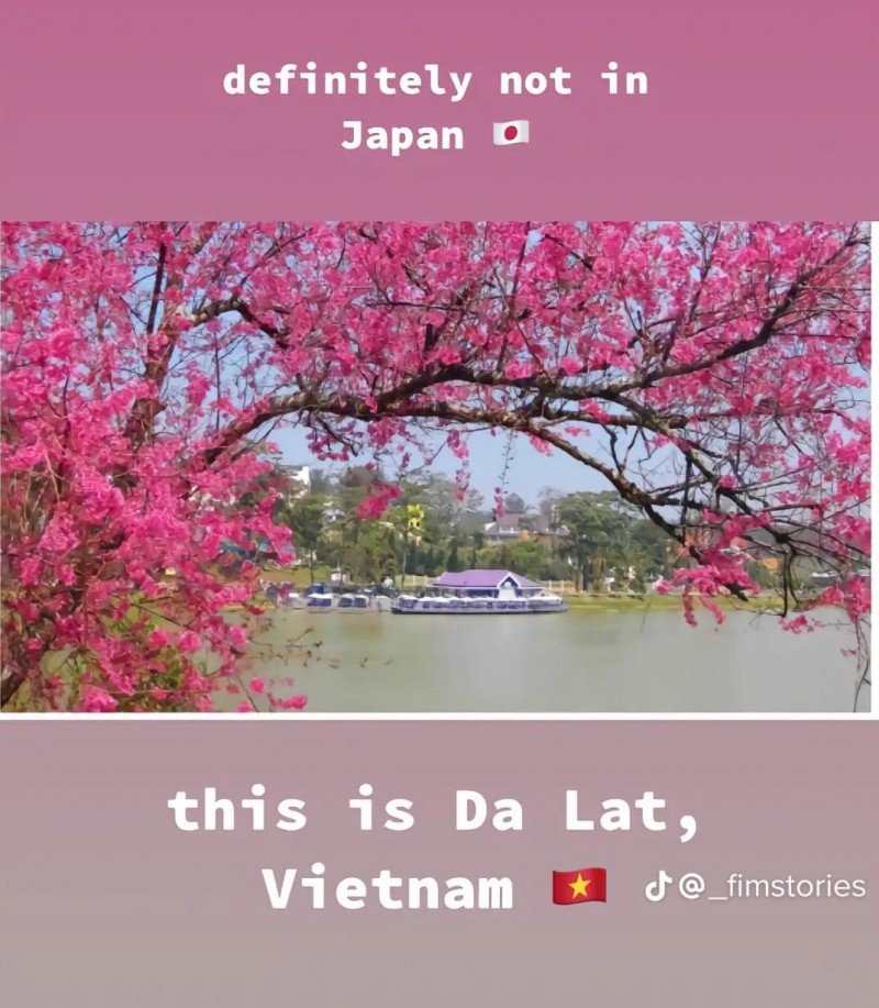 Tài khoản TikTok du khách nước ngoài so sánh thắng cảnh Việt Nam với quốc tế Tài khoản TikTok du khách nước ngoài so sánh thắng cảnh Việt Nam với quốc tế
